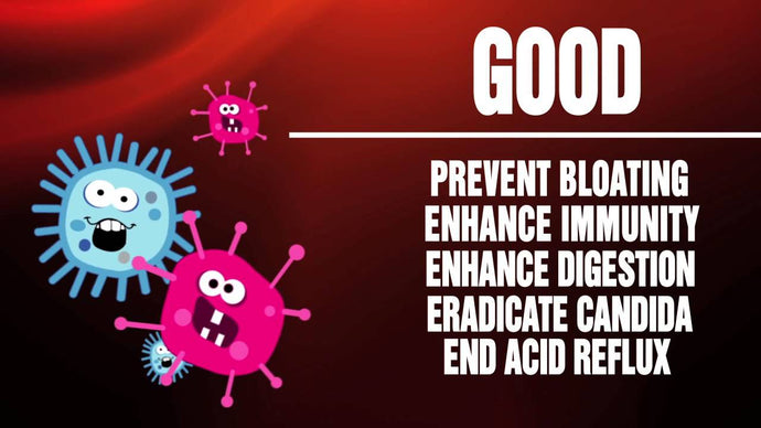 Chemist Shows Best Probiotic and Explains Why You Need It