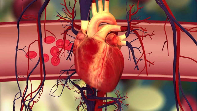 How to Stop Unruly Blood Clots Without Risky Meds